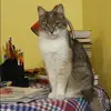 Отзыв от Анастасия Белоусова